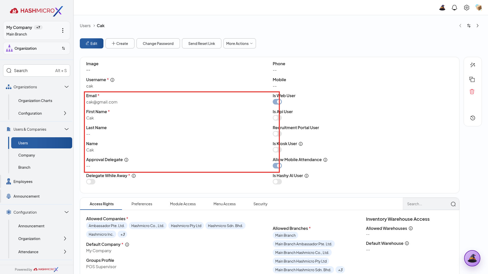Formulir detail pengguna dengan tab Access Rights